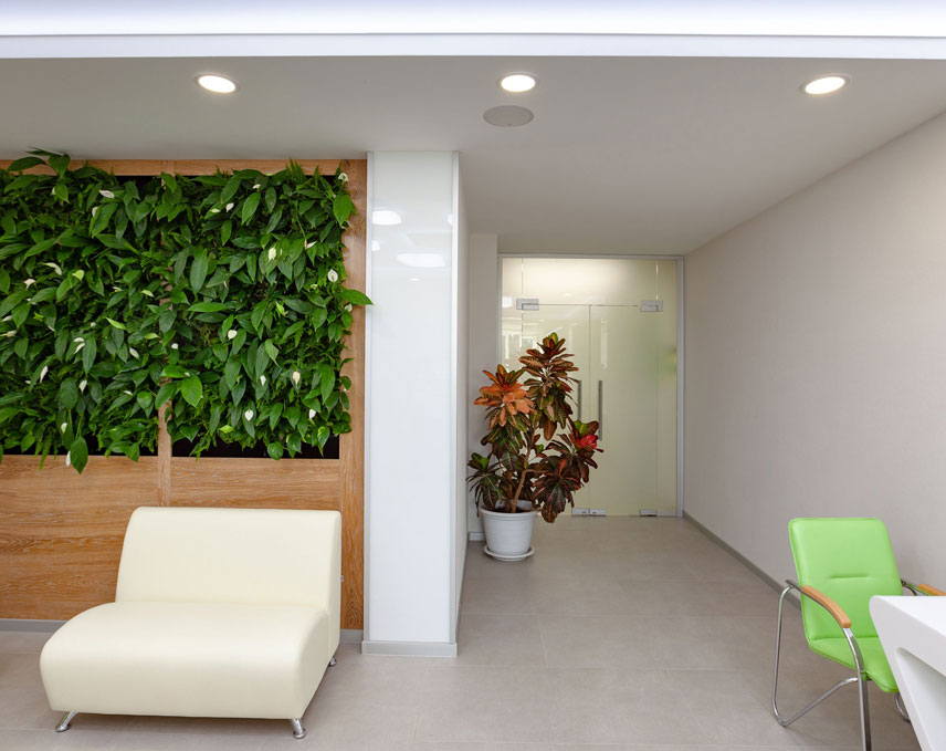 Интерьер клиники